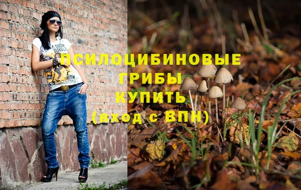 бошки Алексин