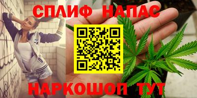 герыч Кингисепп