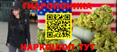 гашик Кимры