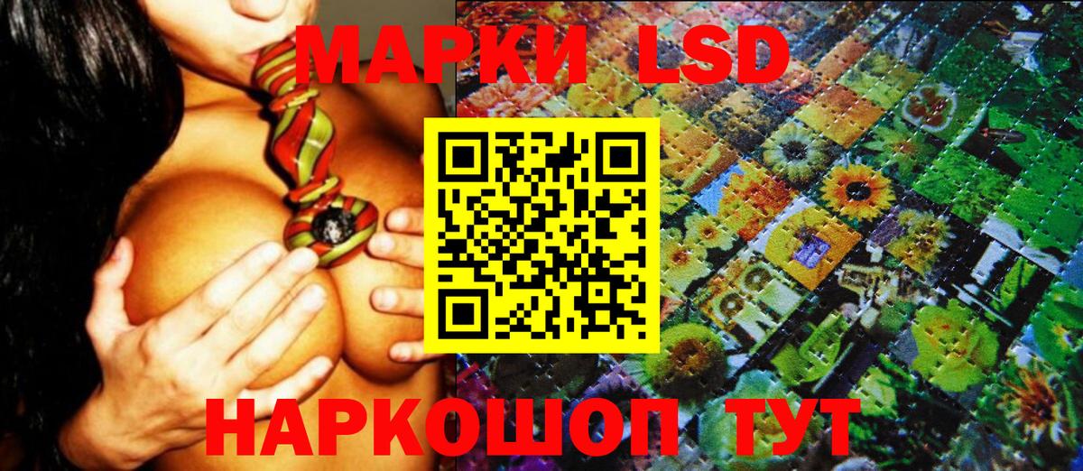 Меф мяу мяу Кинель
