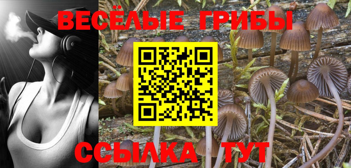 Псилоцибиновые грибы ЛСД  Псилоцибиновые грибы Psilocybine cubensis  Кинель  Вход с VPN 